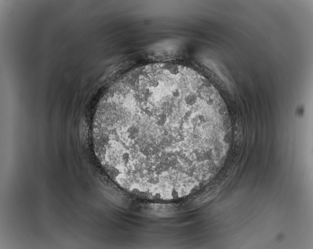 X0000099430371200805301434