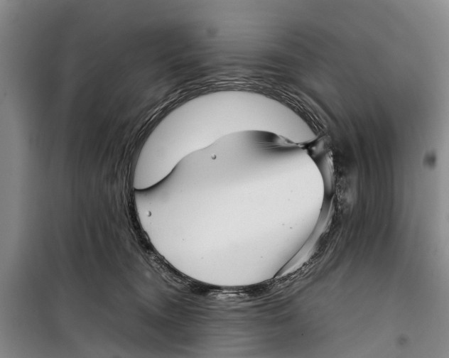 X0000099430372200805301434