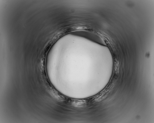 X0000099430373200805301434