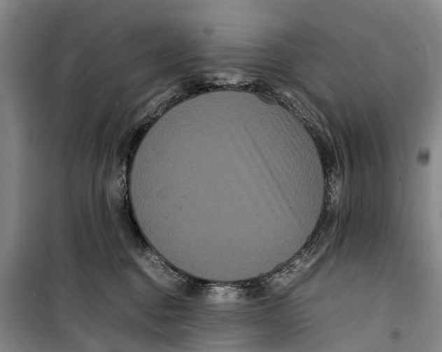 X0000099430376200805301434