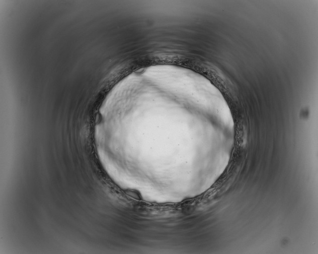 X0000099430377200805301434