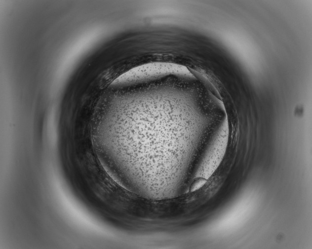 X0000099430383200805301434