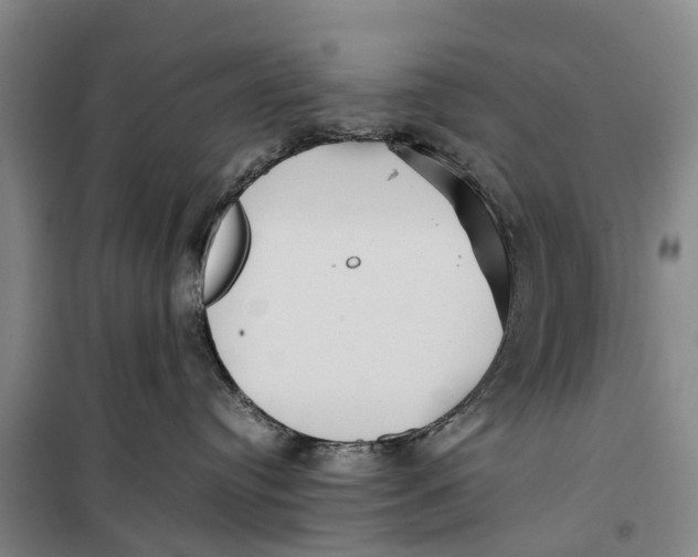 X0000099430384200805301434