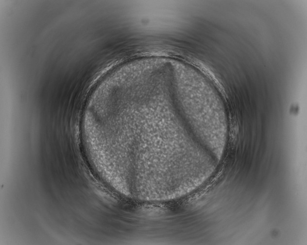 X0000099430386200805301433