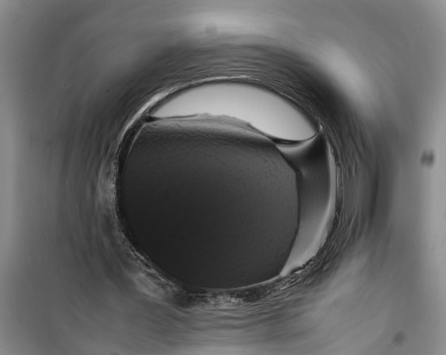 X0000099430387200805301433