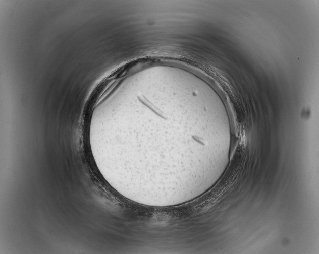 X0000099430388200805301433