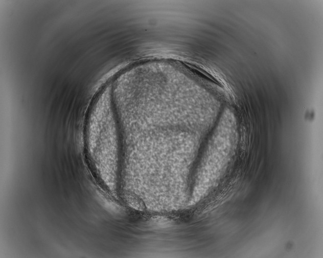 X0000099430390200805301433