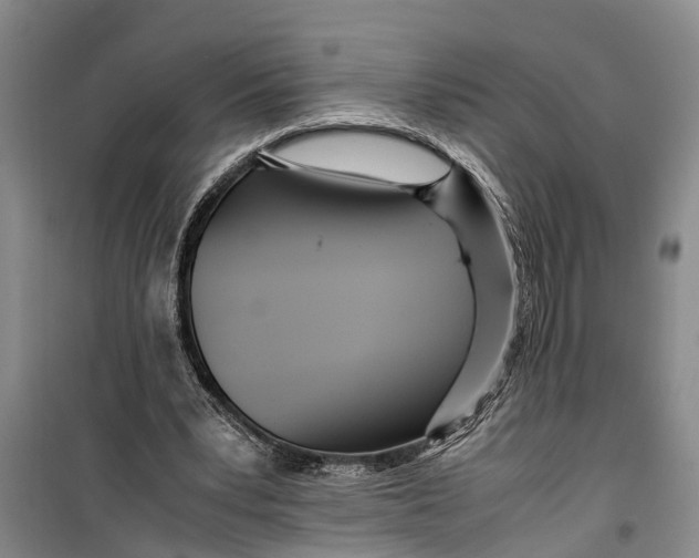 X0000099430391200805301433