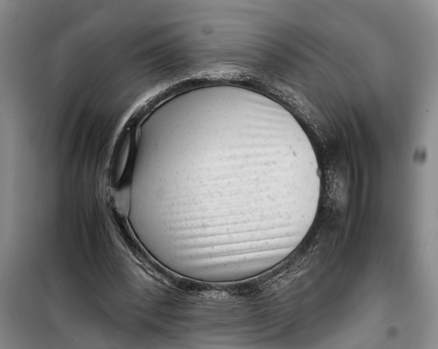 X0000099430392200805301433