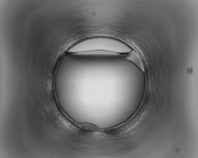 X0000099430393200805301433