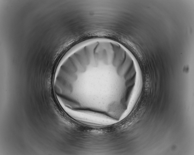 X0000099430394200805301433