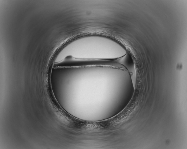 X0000099430399200805301433