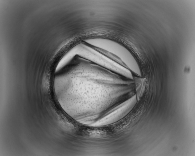 X0000099430400200805301433