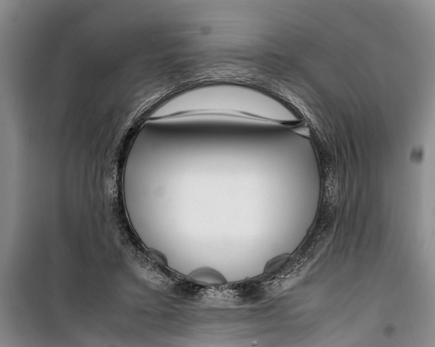 X0000099430403200805301433