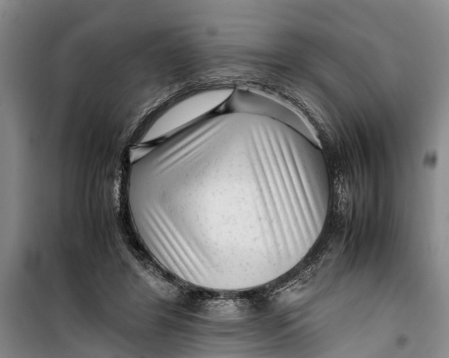 X0000099430404200805301433