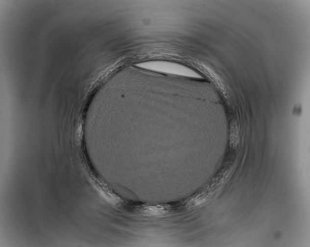 X0000099430405200805301433