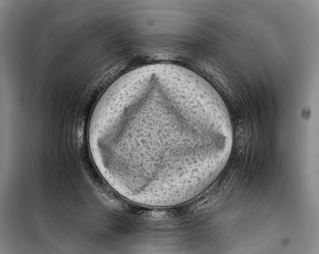 X0000099430406200805301433