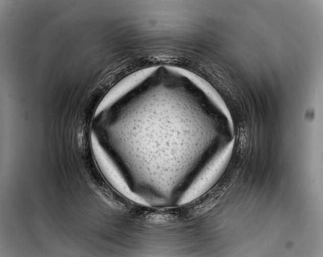 X0000099430408200805301433