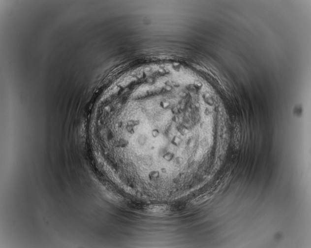 X0000099430410200805301433