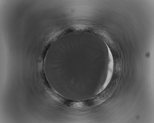 X0000099430411200805301433