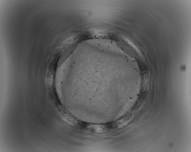 X0000099430417200805301433