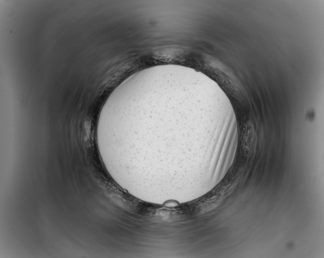 X0000099430420200805301433