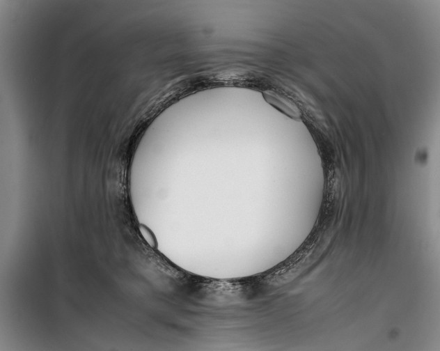 X0000099430421200805301433