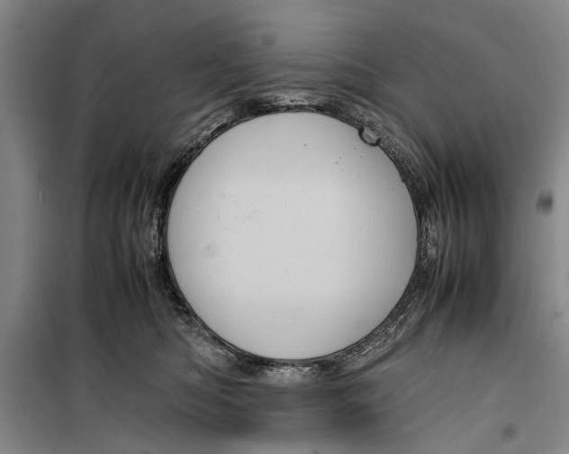 X0000099430422200805301433