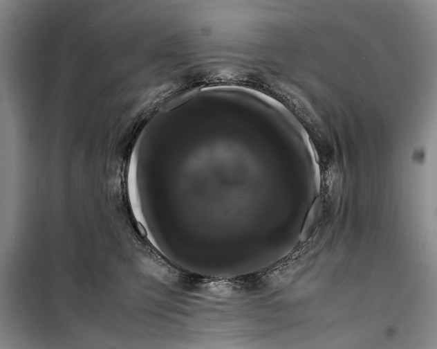 X0000099430423200805301433