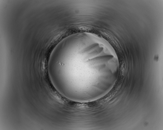 X0000099430424200805301433