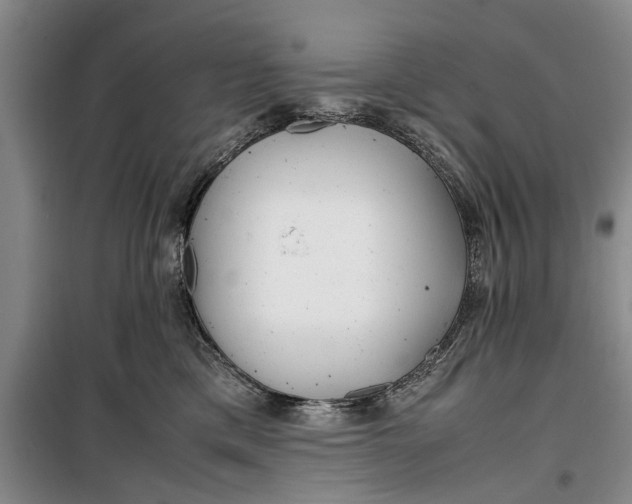 X0000099430425200805301433