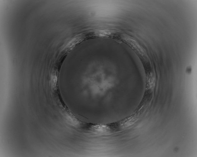 X0000099430427200805301433