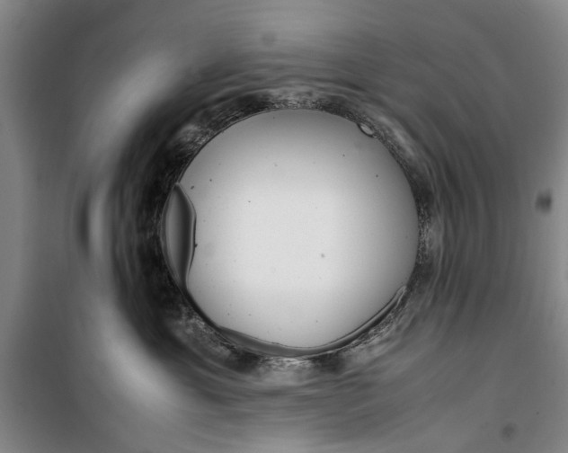 X0000099430429200805301433