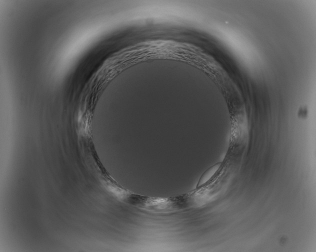 X0000099430431200805301433