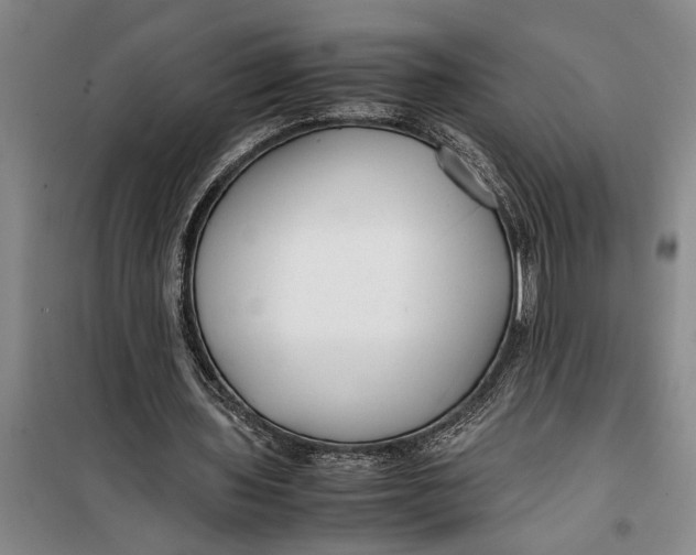 X0000099430435200805301432