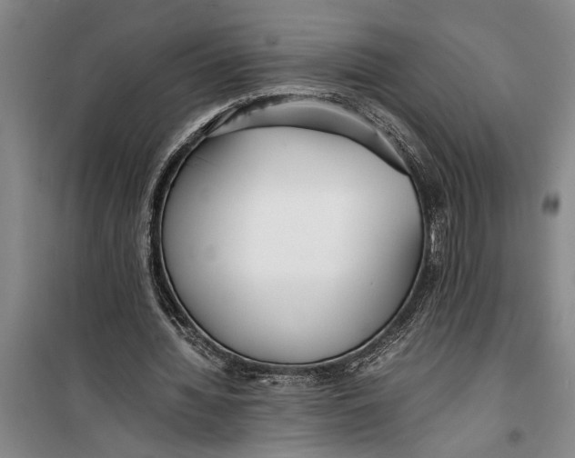 X0000099430436200805301432