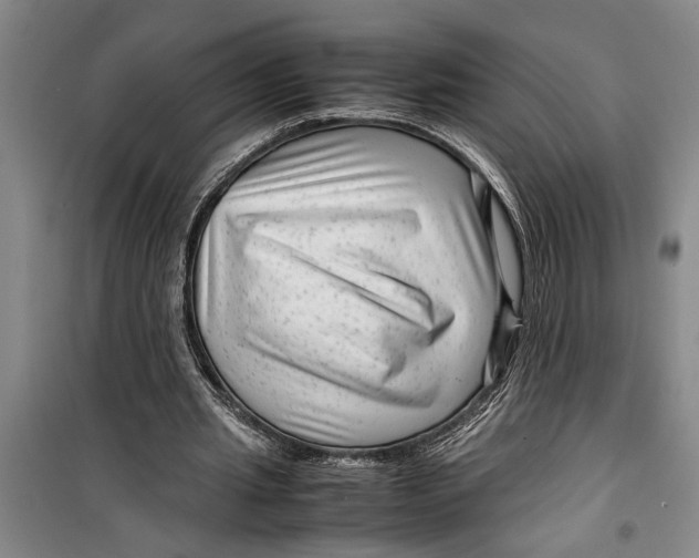 X0000099430437200805301432