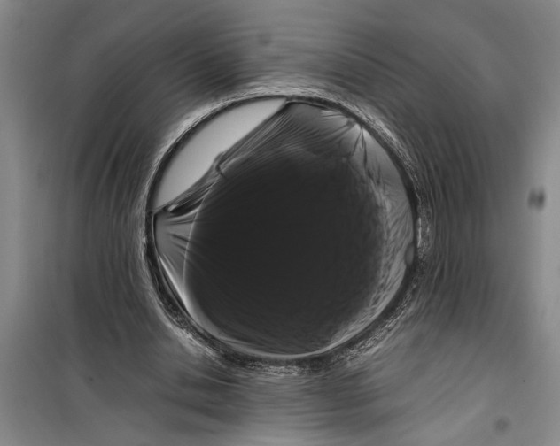 X0000099430438200805301432