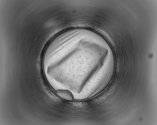 X0000099430439200805301432