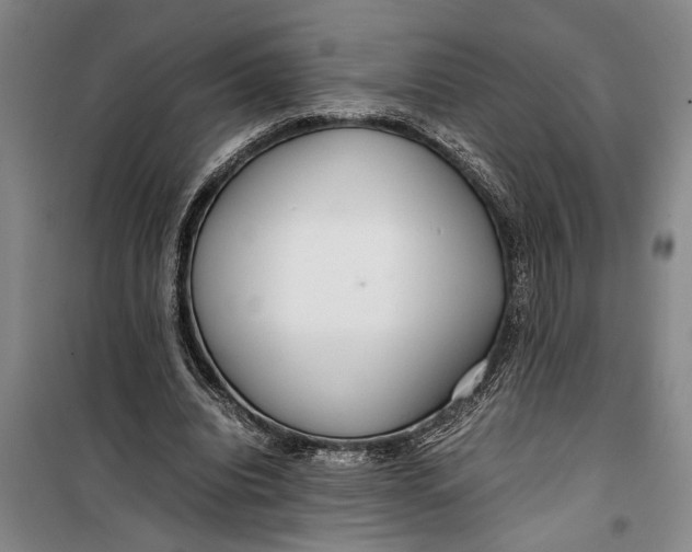 X0000099430440200805301432