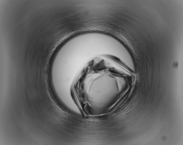 X0000099430444200805301432