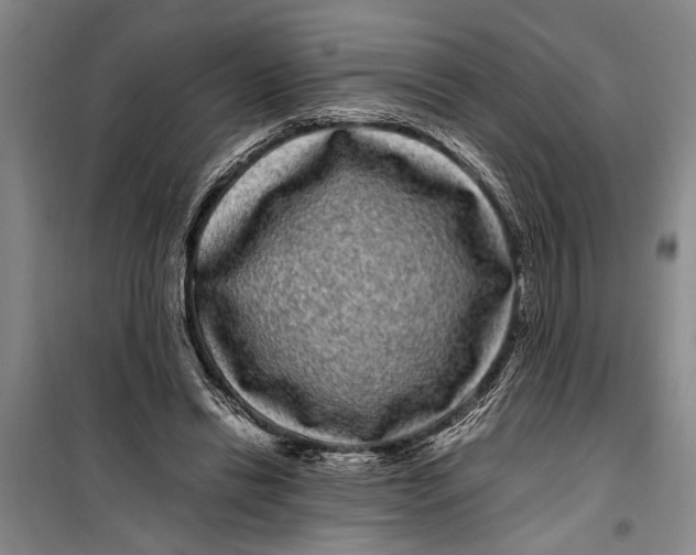 X0000099430446200805301432