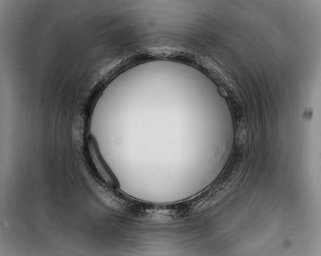 X0000099430448200805301432