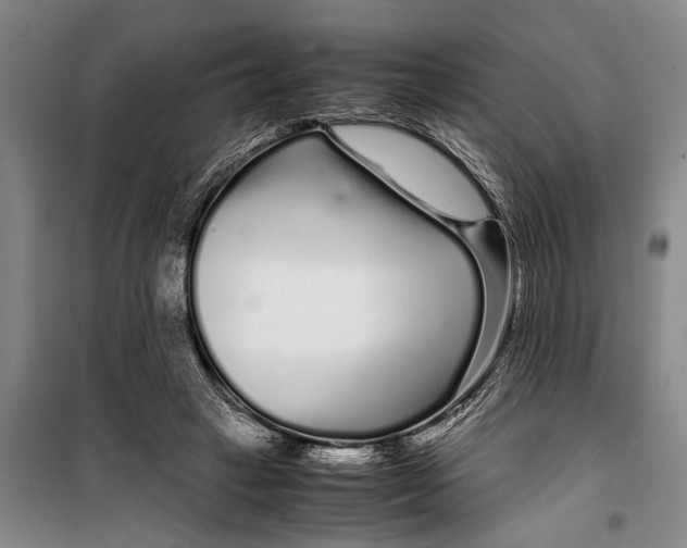 X0000099430449200805301432