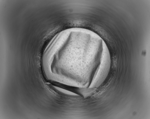 X0000099430450200805301432