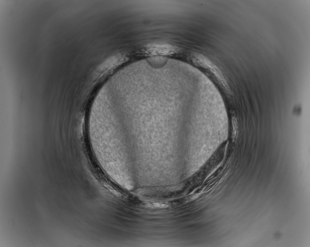 X0000099430451200805301432