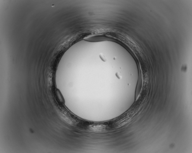 X0000099430452200805301432