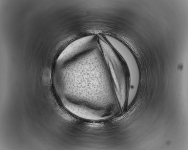 X0000099430453200805301432