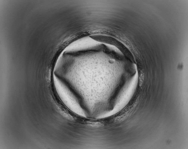 X0000099430454200805301432