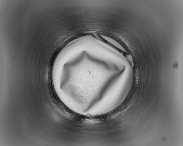 X0000099430455200805301432